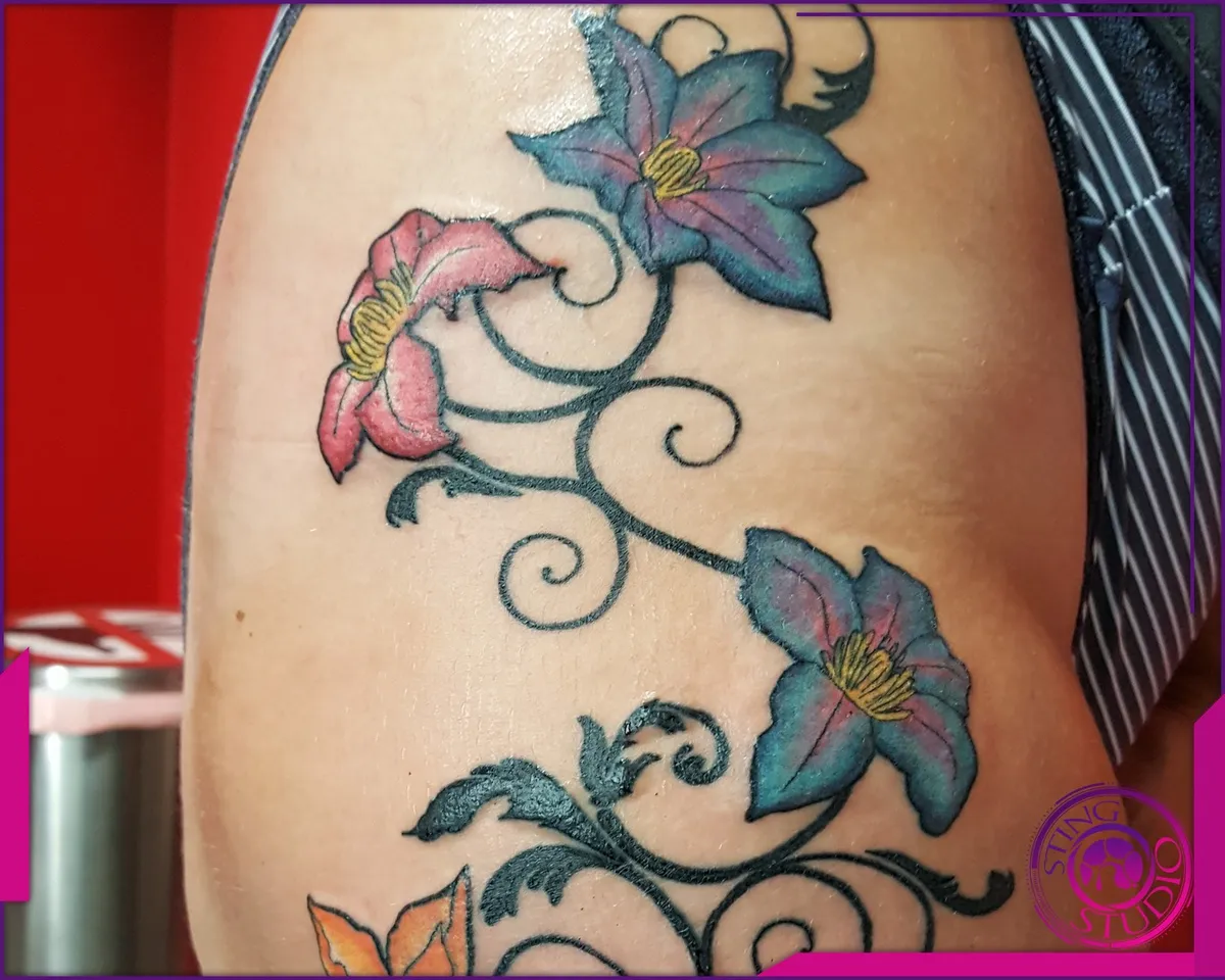 Tattoo by Sting Studio Ottawa, 2016-2018