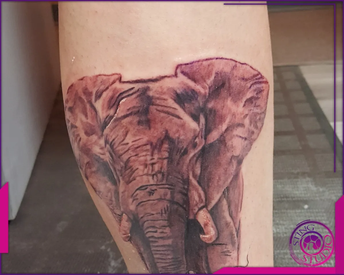 Tattoo by Sting Studio Ottawa, 2016-2018