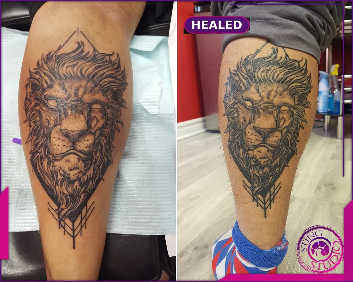 Tattoo by Sting Studio Ottawa, 2016-2018