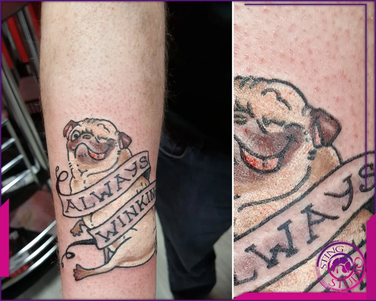 Tattoo by Sting Studio Ottawa, 2016-2018