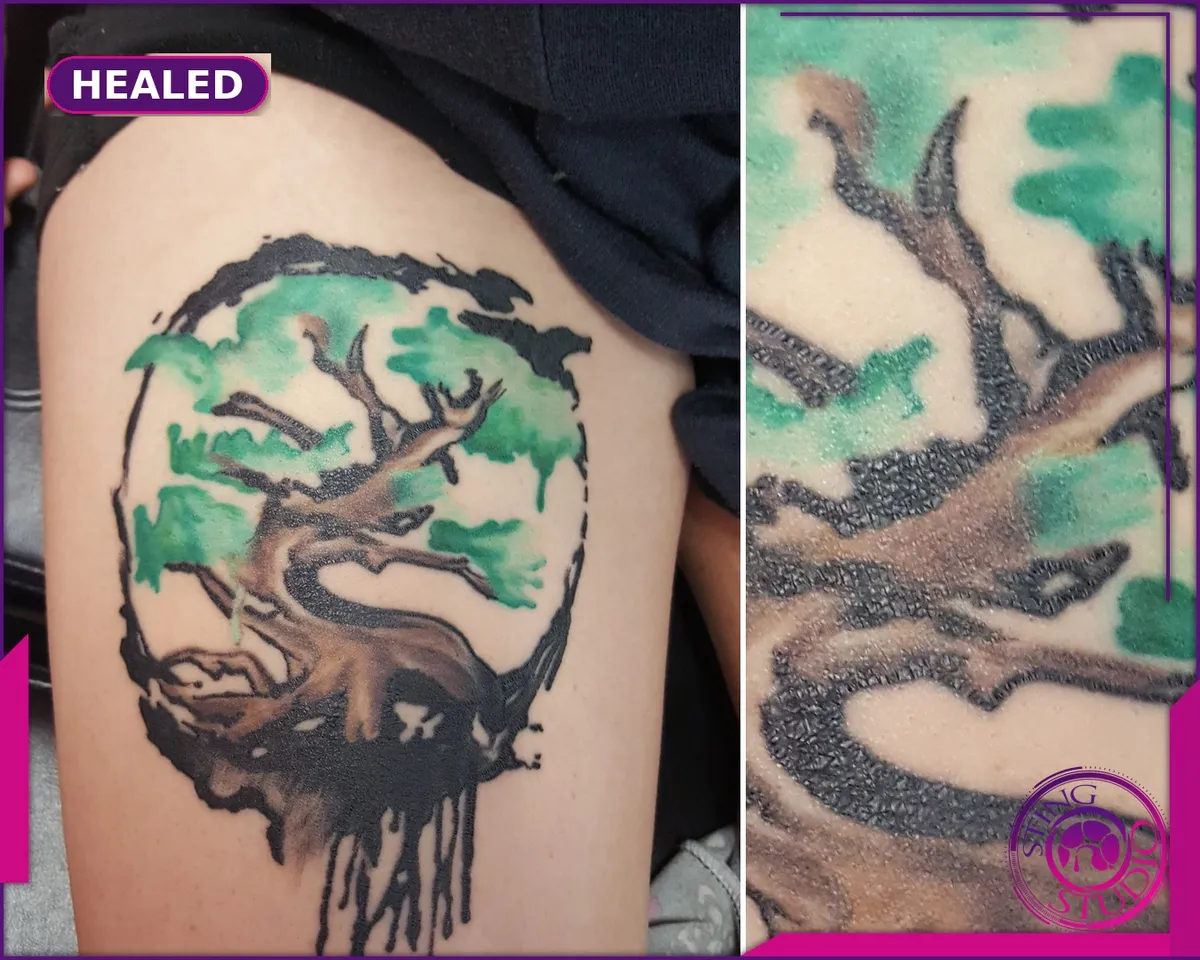 Tattoo by Sting Studio Ottawa, 2016-2018