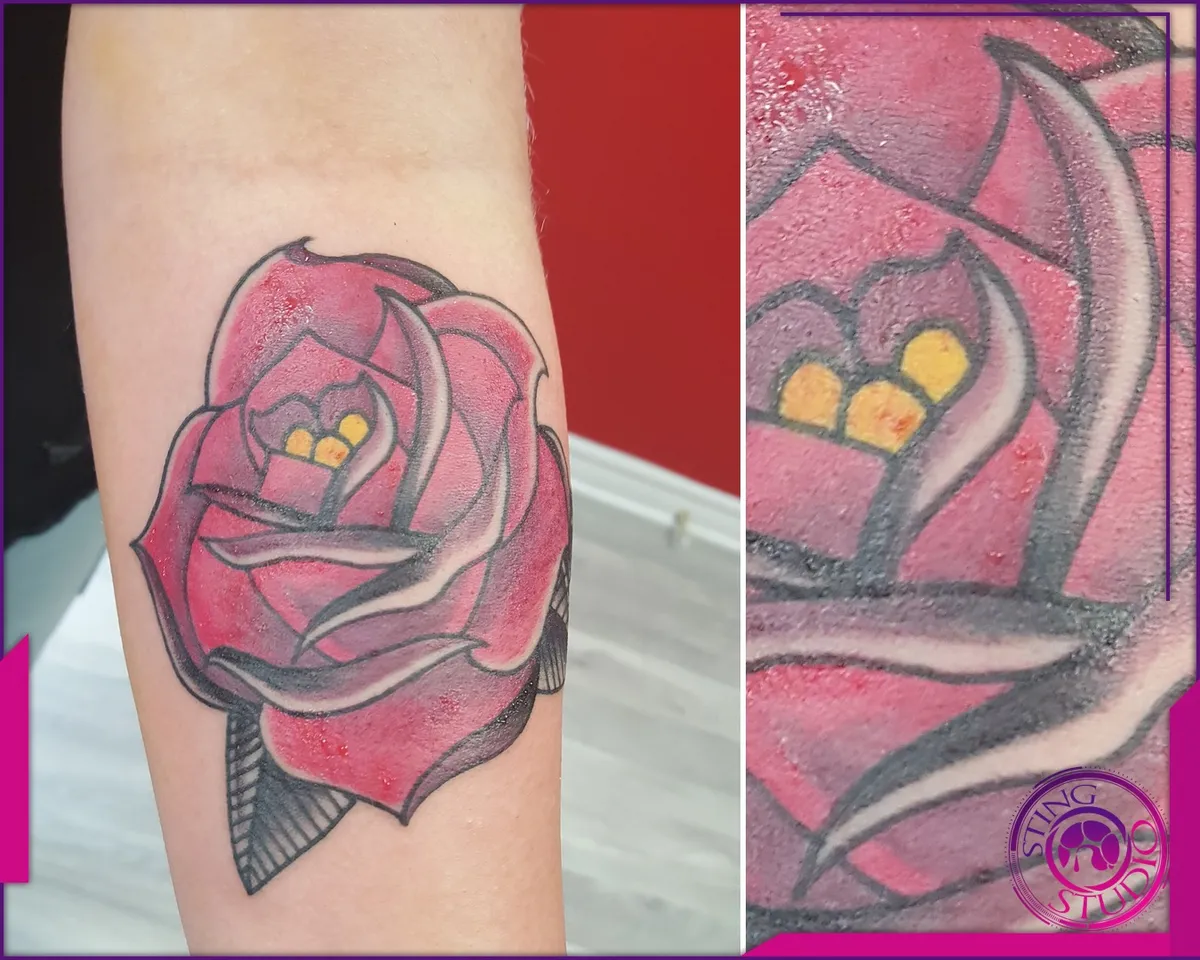 Tattoo by Sting Studio Ottawa, 2016-2018