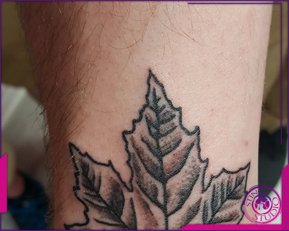Tattoo by Sting Studio Ottawa, 2016-2018