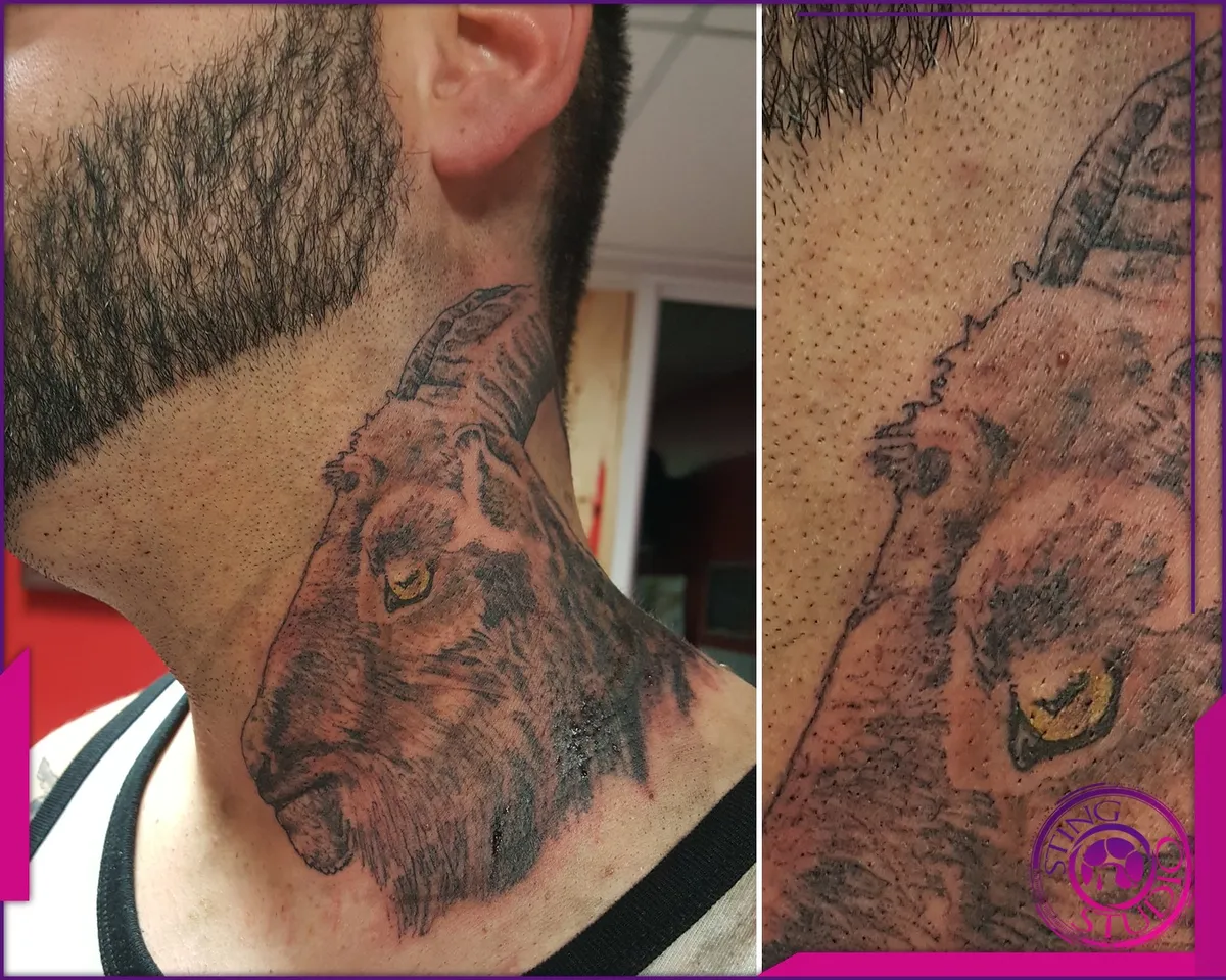 Tattoo by Sting Studio Ottawa, 2016-2018