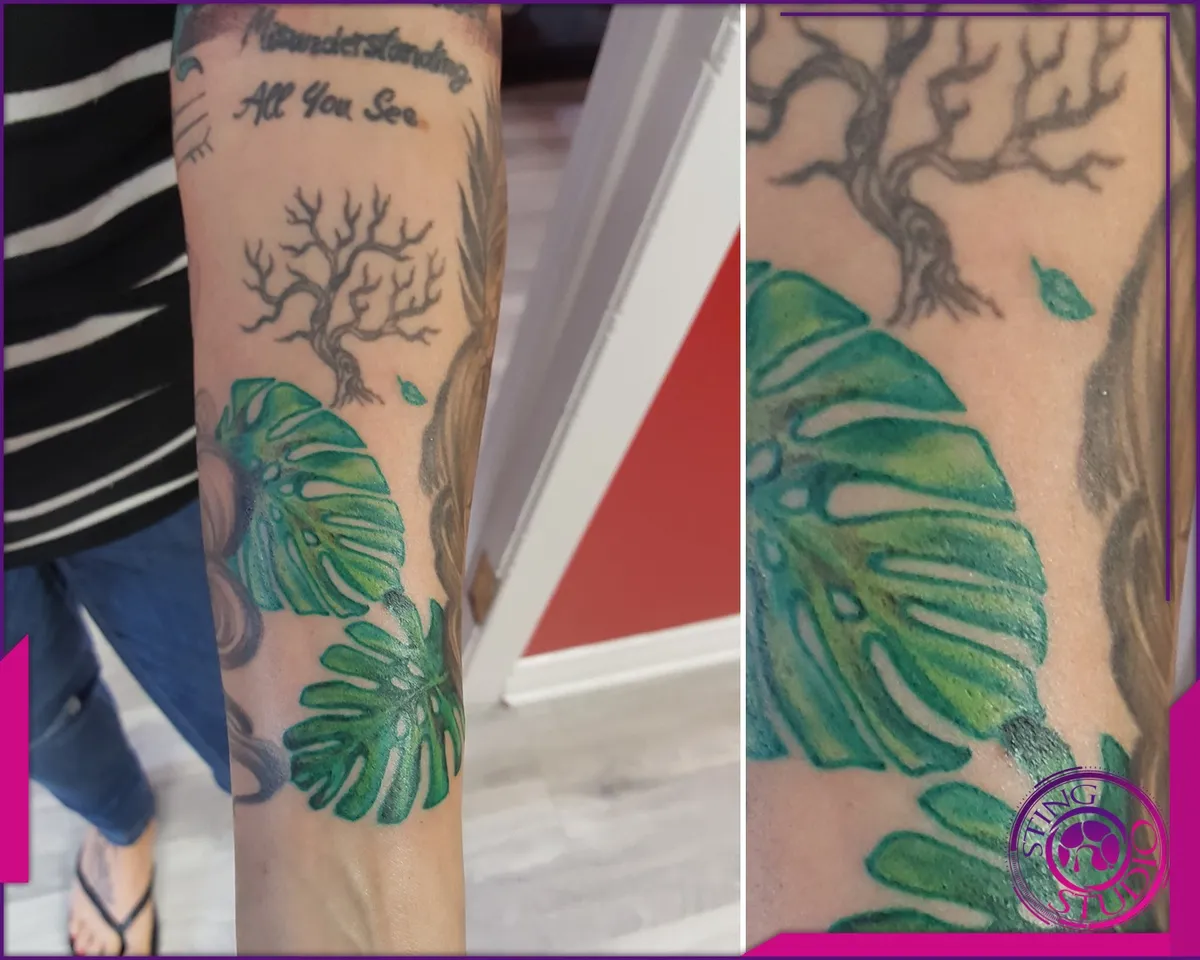 Tattoo by Sting Studio Ottawa, 2016-2018