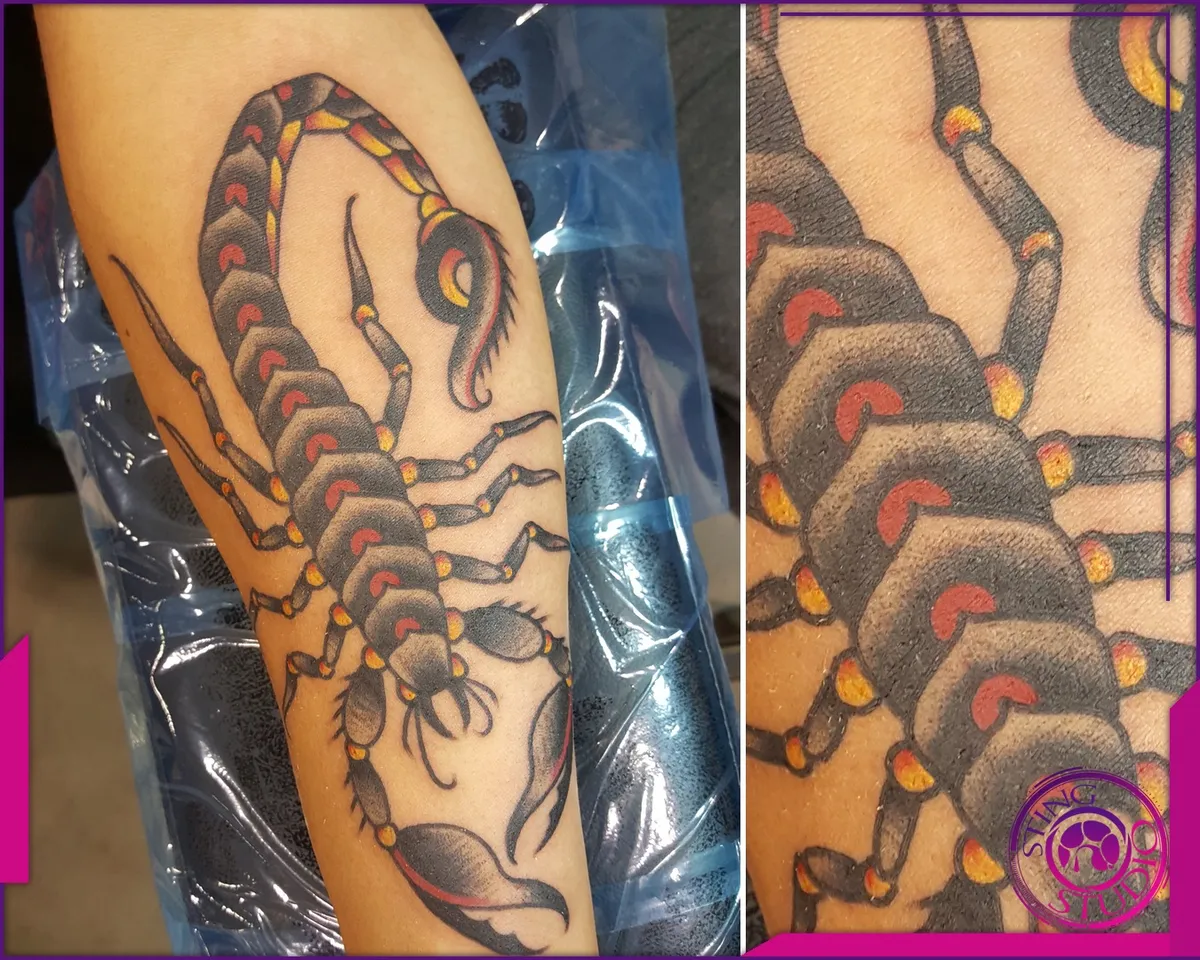 Tattoo by Sting Studio Ottawa, 2016-2018