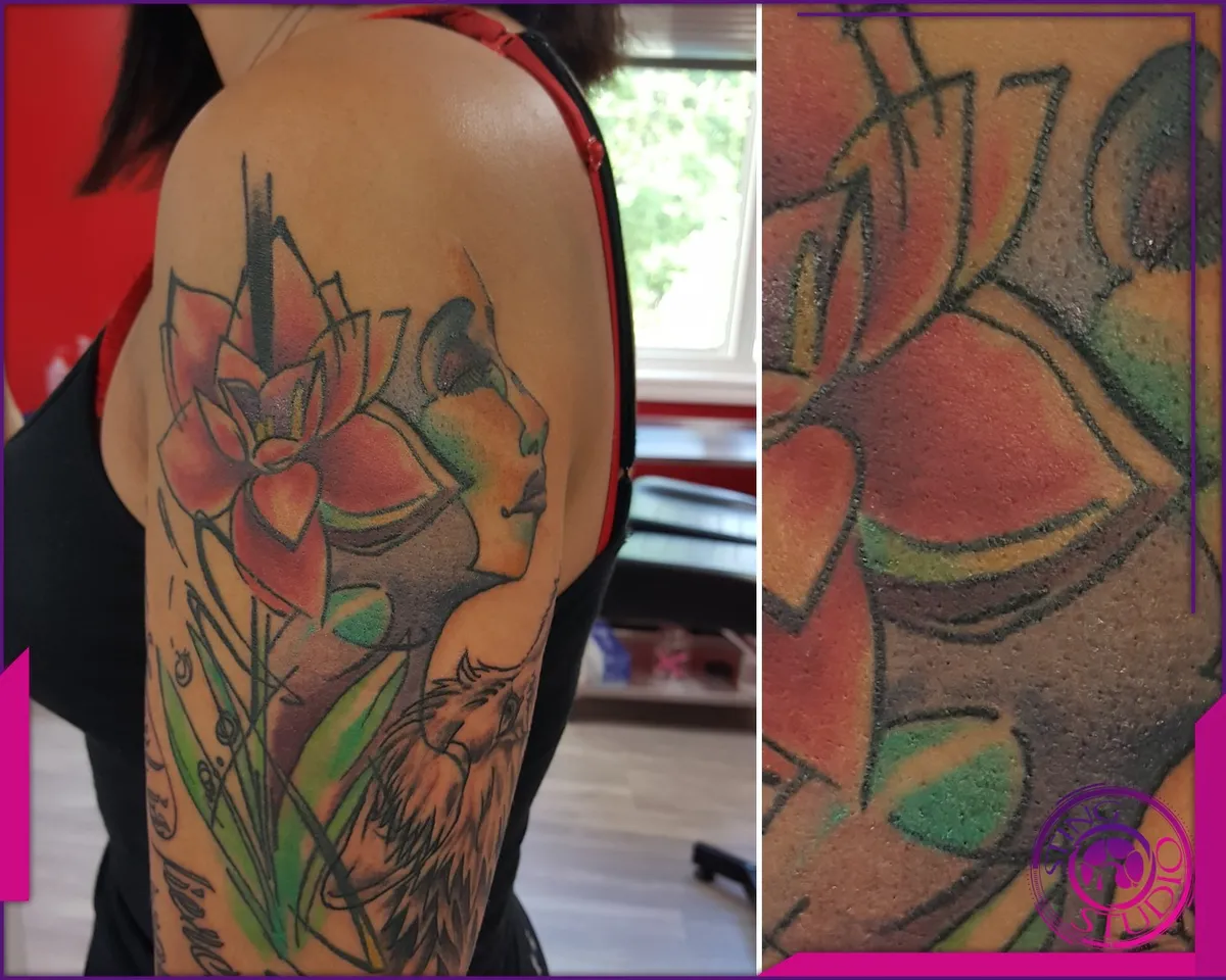 Tattoo by Sting Studio Ottawa, 2016-2018