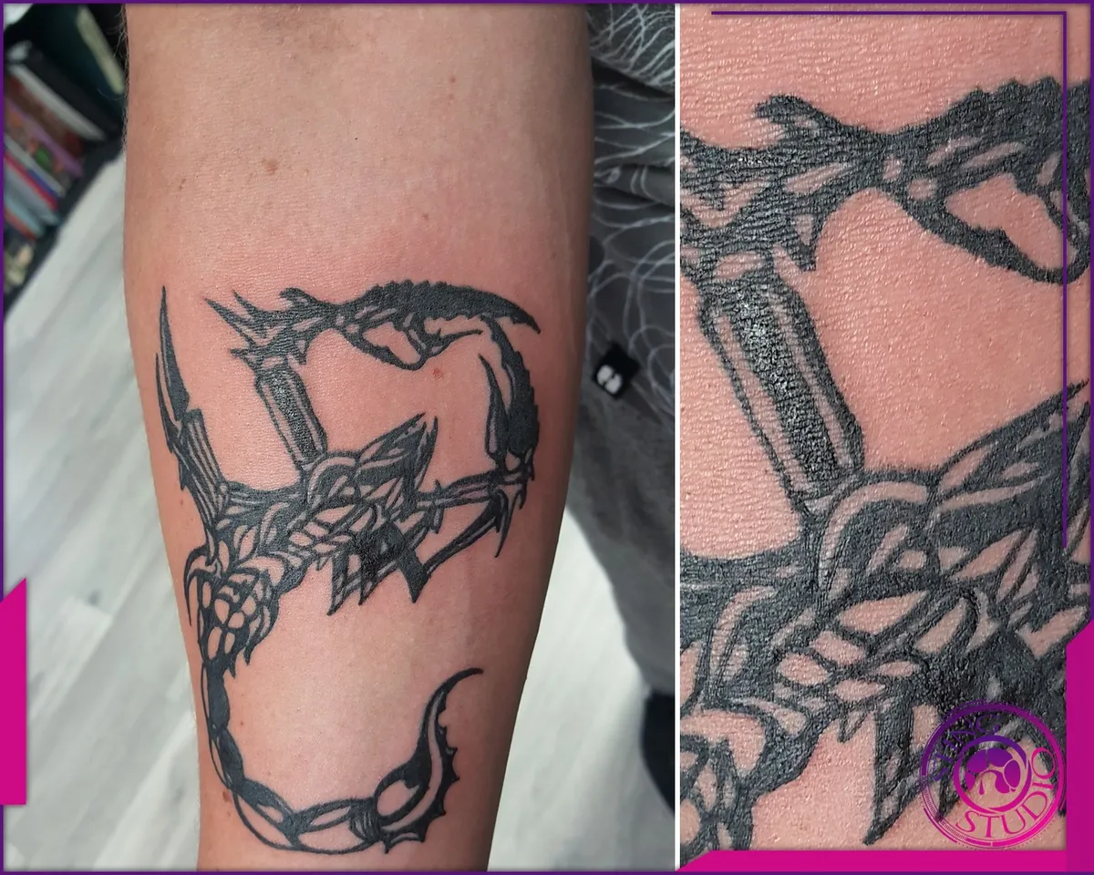 Tattoo by Sting Studio Ottawa, 2016-2018