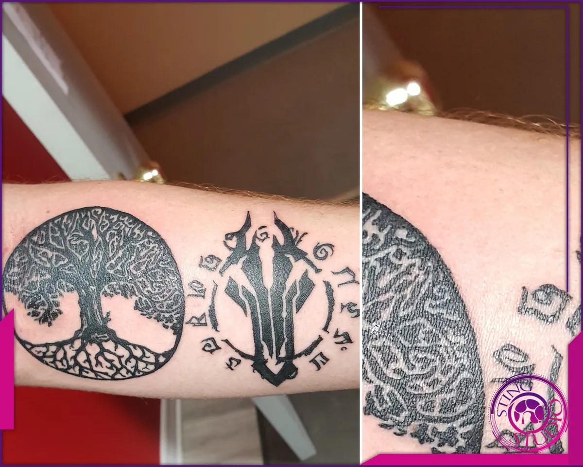 Tattoo by Sting Studio Ottawa, 2016-2018