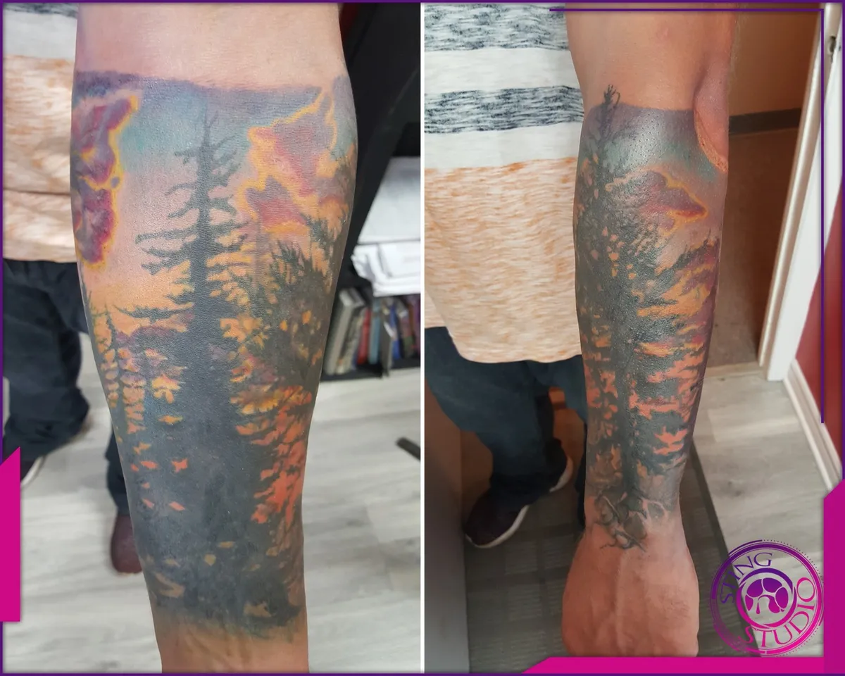 Tattoo by Sting Studio Ottawa, 2016-2018