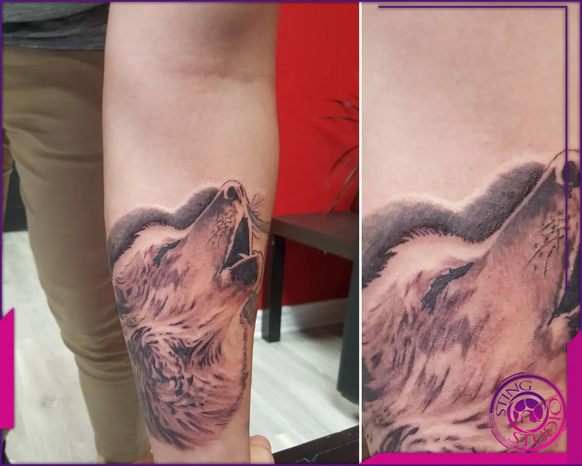 Tattoo by Sting Studio Ottawa, 2016-2018