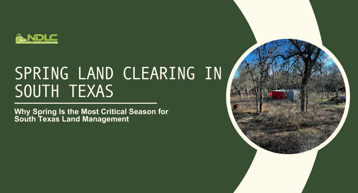 Spring Land Clearing in South Texas