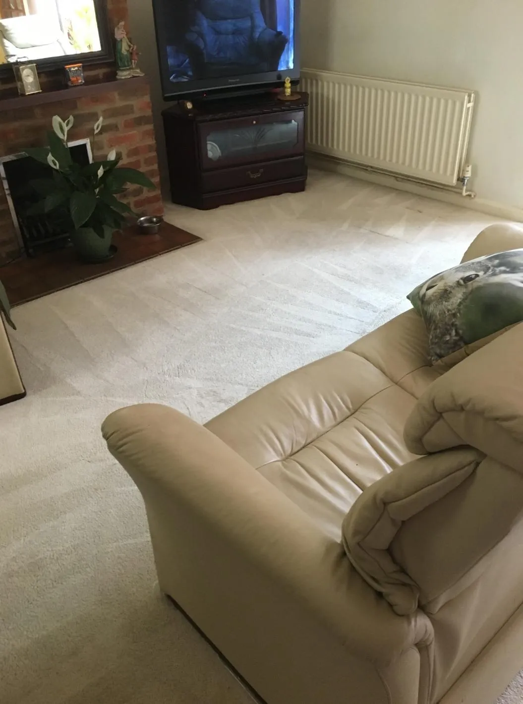 Carpet after Paul has cleaned it with the 8 step process