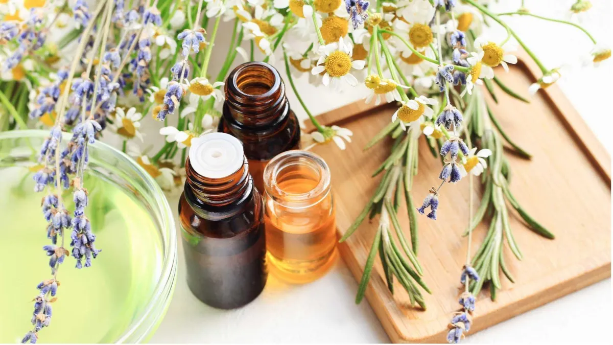 Holistic Consultations & Wellness Plans