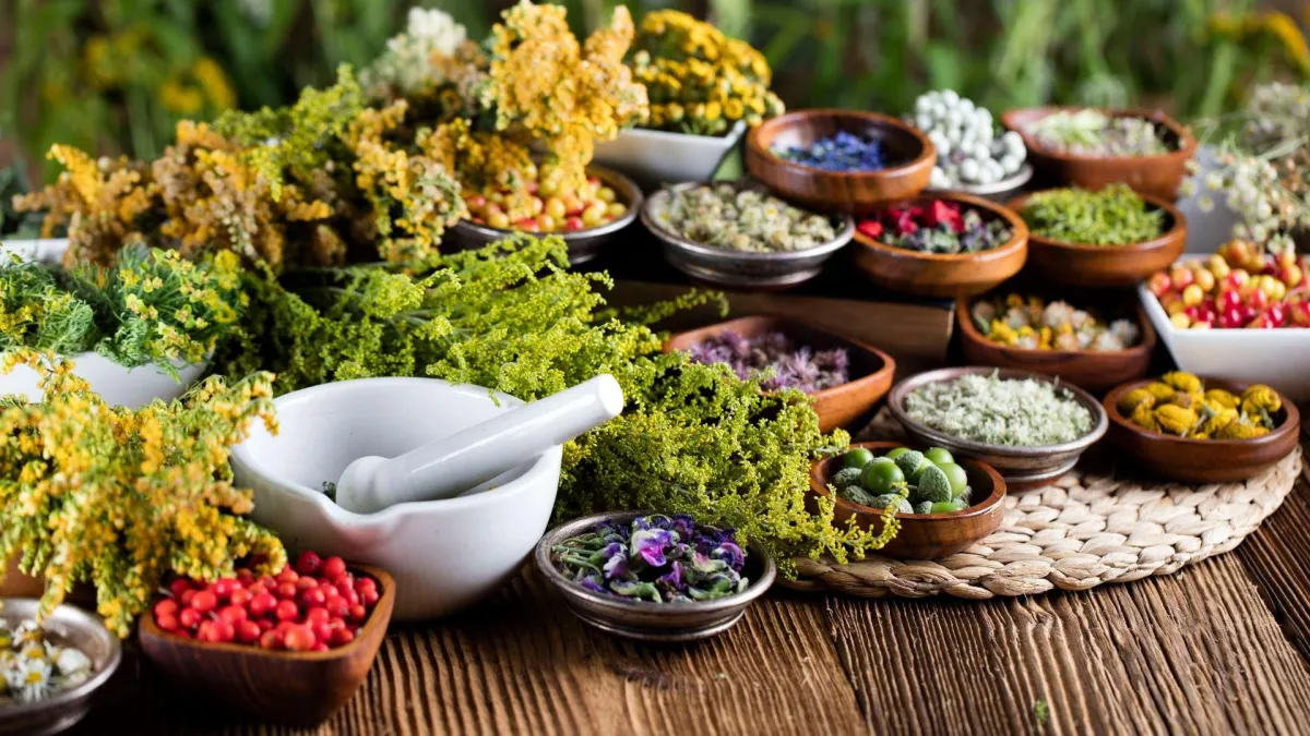Herbal Medicine