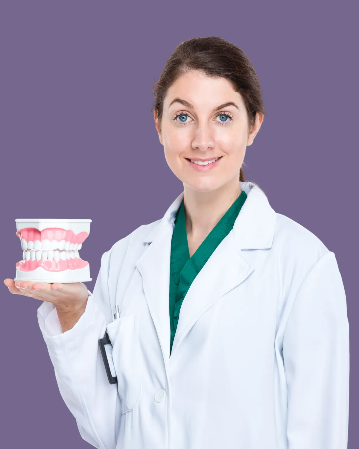 Female dentist holding dental model, representing safety and quality in dental surgery.