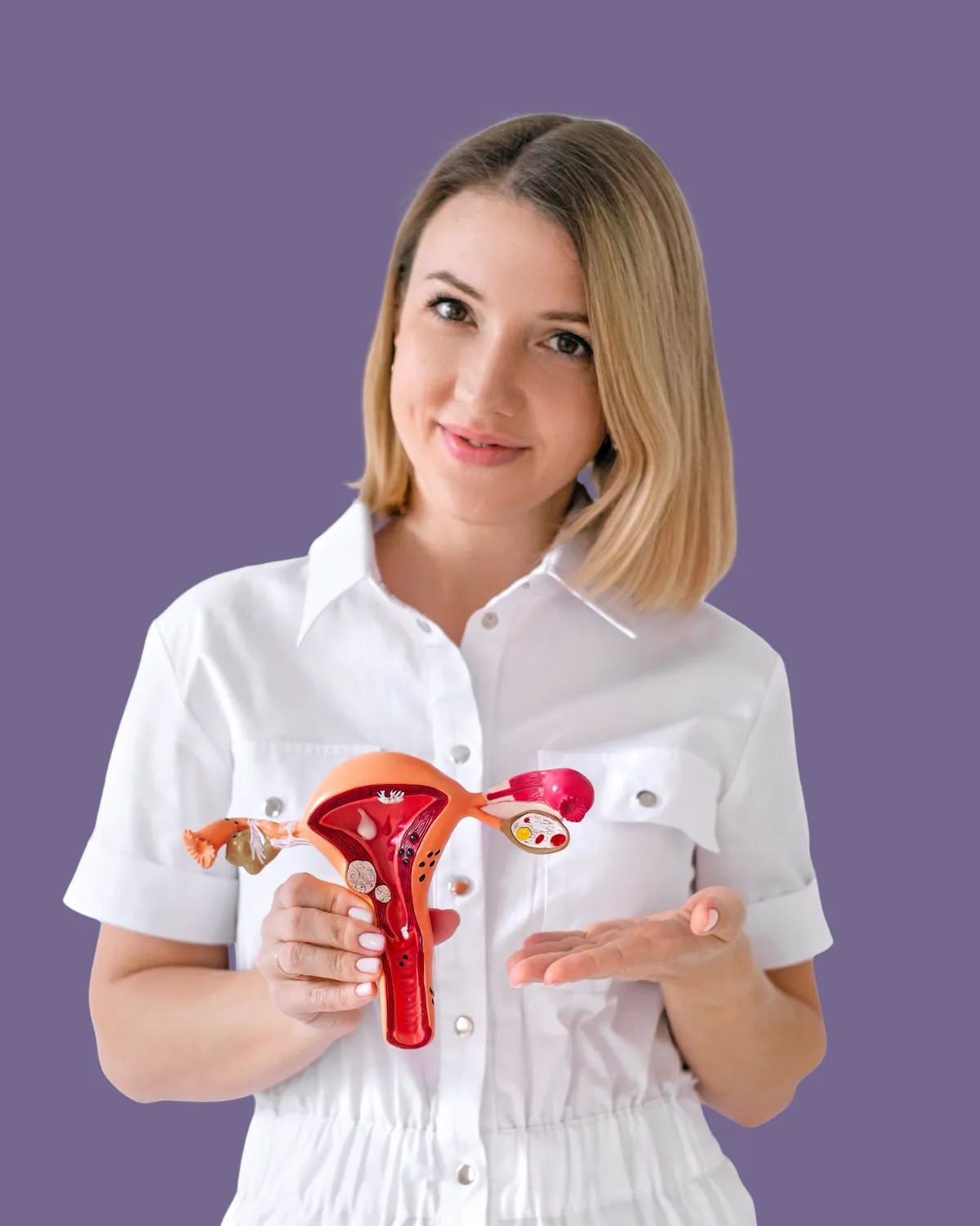 Doctor holding female reproductive system model for reproductive specialty surgery.