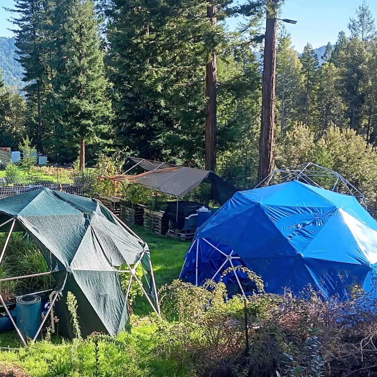 geodesic domes on a farm