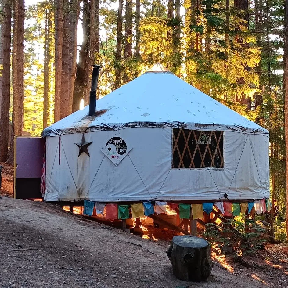 Rent a yurt