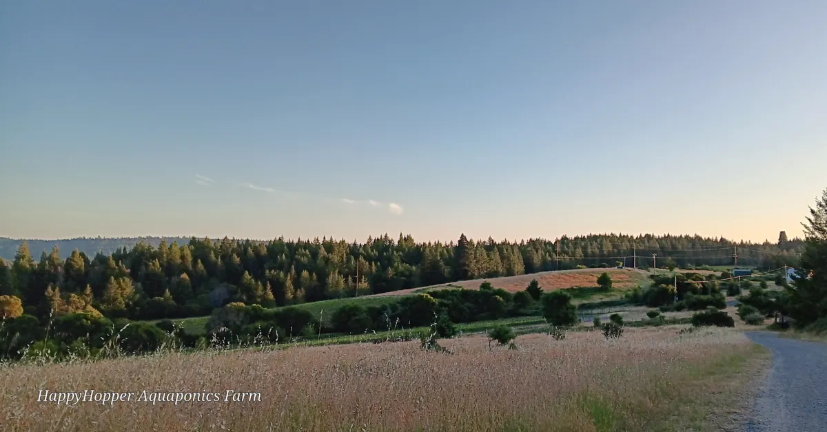 Vineyard view from Dry Creek Vineyards