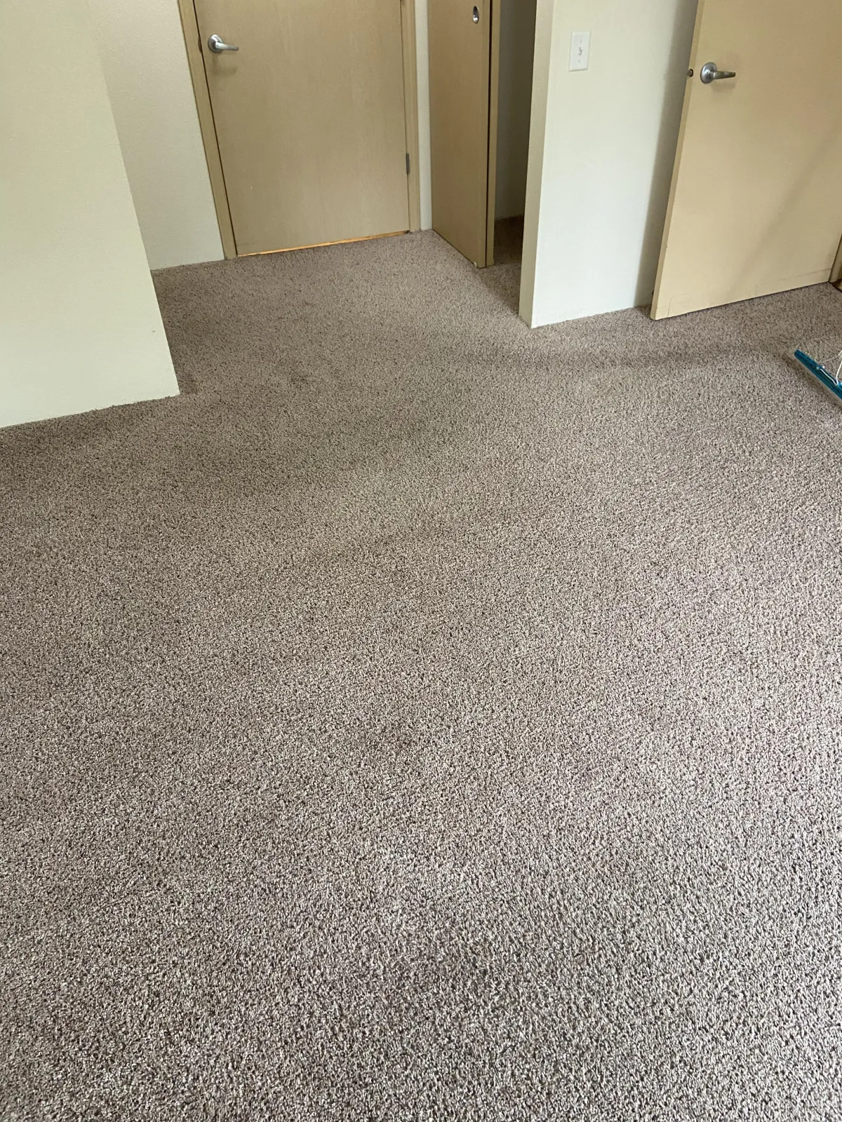 Call me to request a free carpet cleaning quote!