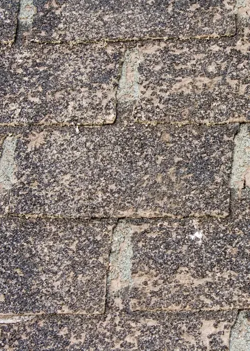 Worn asphalt shingles with visible granule loss and surface deterioration