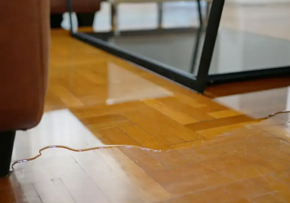 Standing water covering a hardwood floor inside a home.