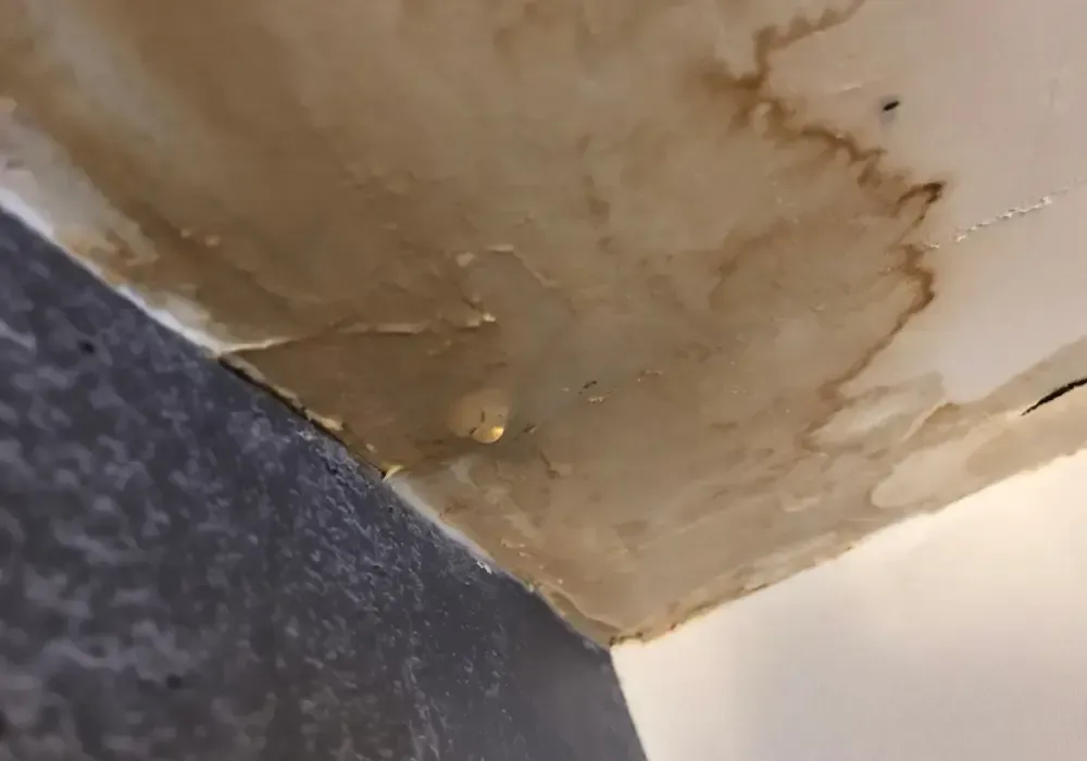 Water-stained ceiling and wall with visible moisture damage.