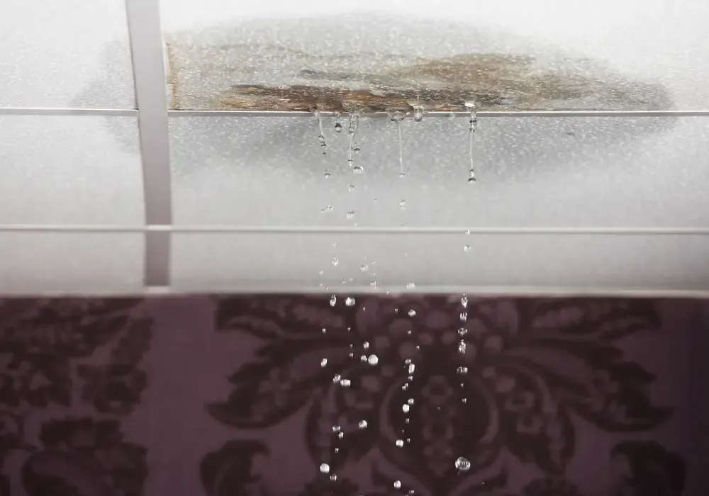 Water dripping from a damaged ceiling into a room.