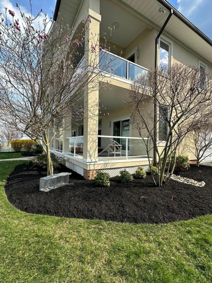 Landscaped planter bed with neatly trimmed small trees in a residential lawn