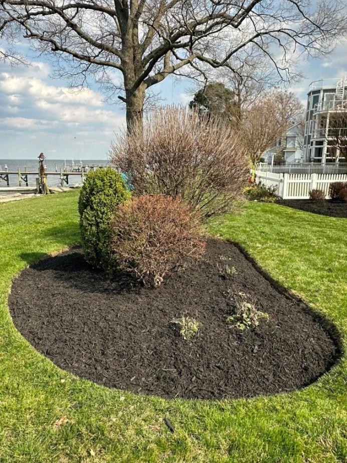 Tree basin surrounded by mulch overlooking a calm lake in Appleton WI