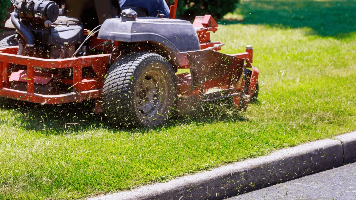 Irving Park Lawn care