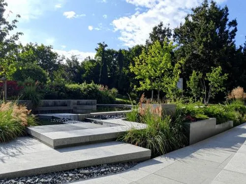 North Center Plants & Trees