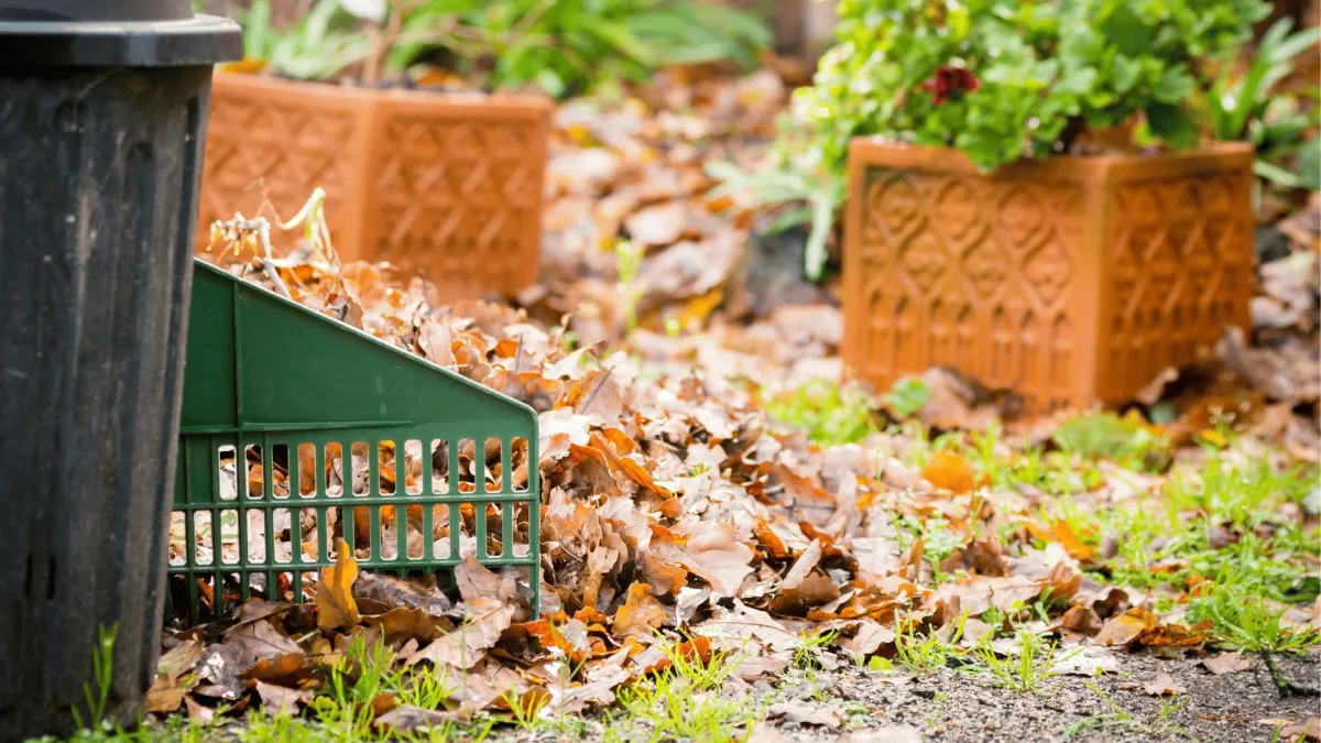 Avondale Spring/Fall Cleanups