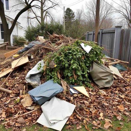 Yard Waste Removal in Dallas