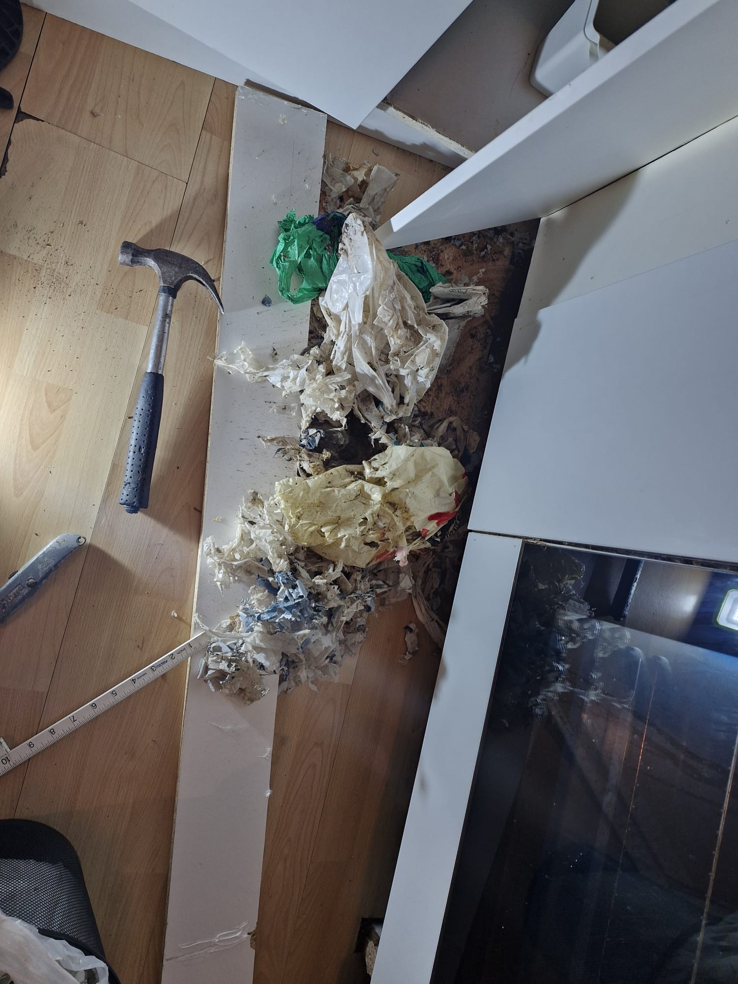 Specialist Cleaning & Pest Removal in Drumchapel