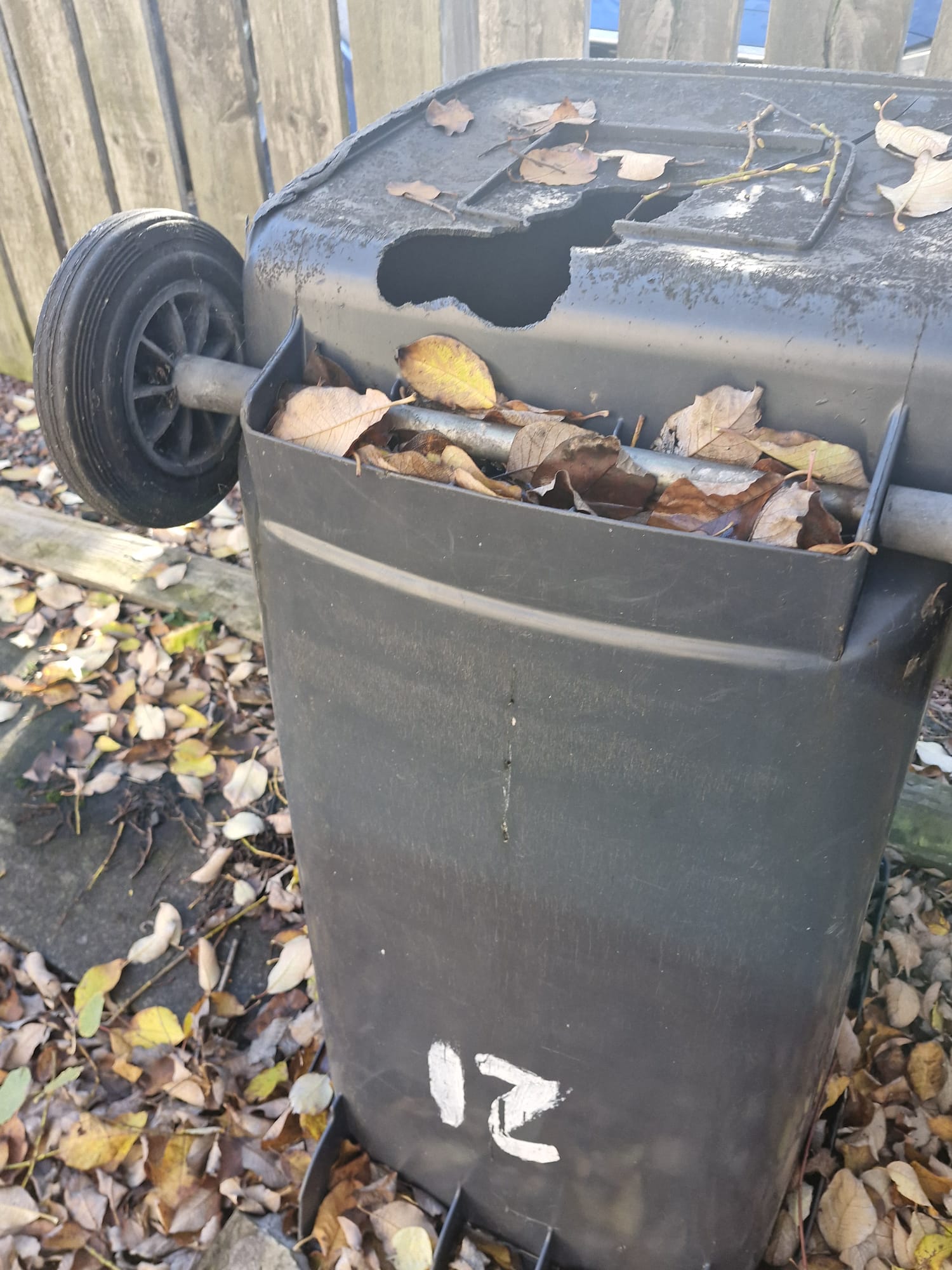 Specialist Cleaning & Pest Removal in Glasgow