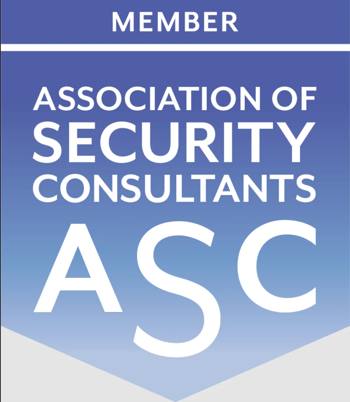 Illustration showing a professional team collaborating on a digital marketing strategy with charts, graphs, and devices around.