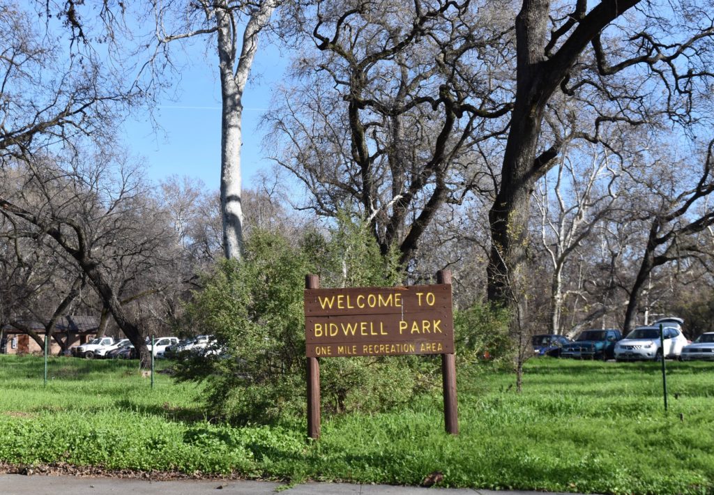 When Robin Hood Came to Chico