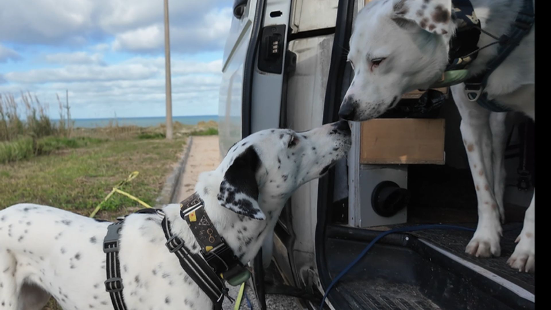 Hund im Camper allein lassen – Mia und Maya vor dem VW T5 Camper Pepe auf Reisen durch Europa