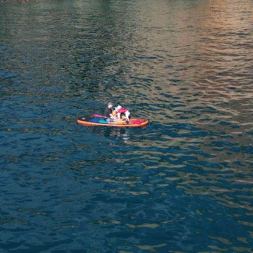 Hundeschwimmweste für SUP und Kajak – sicherer Wassersport mit Hund beim Vanlife