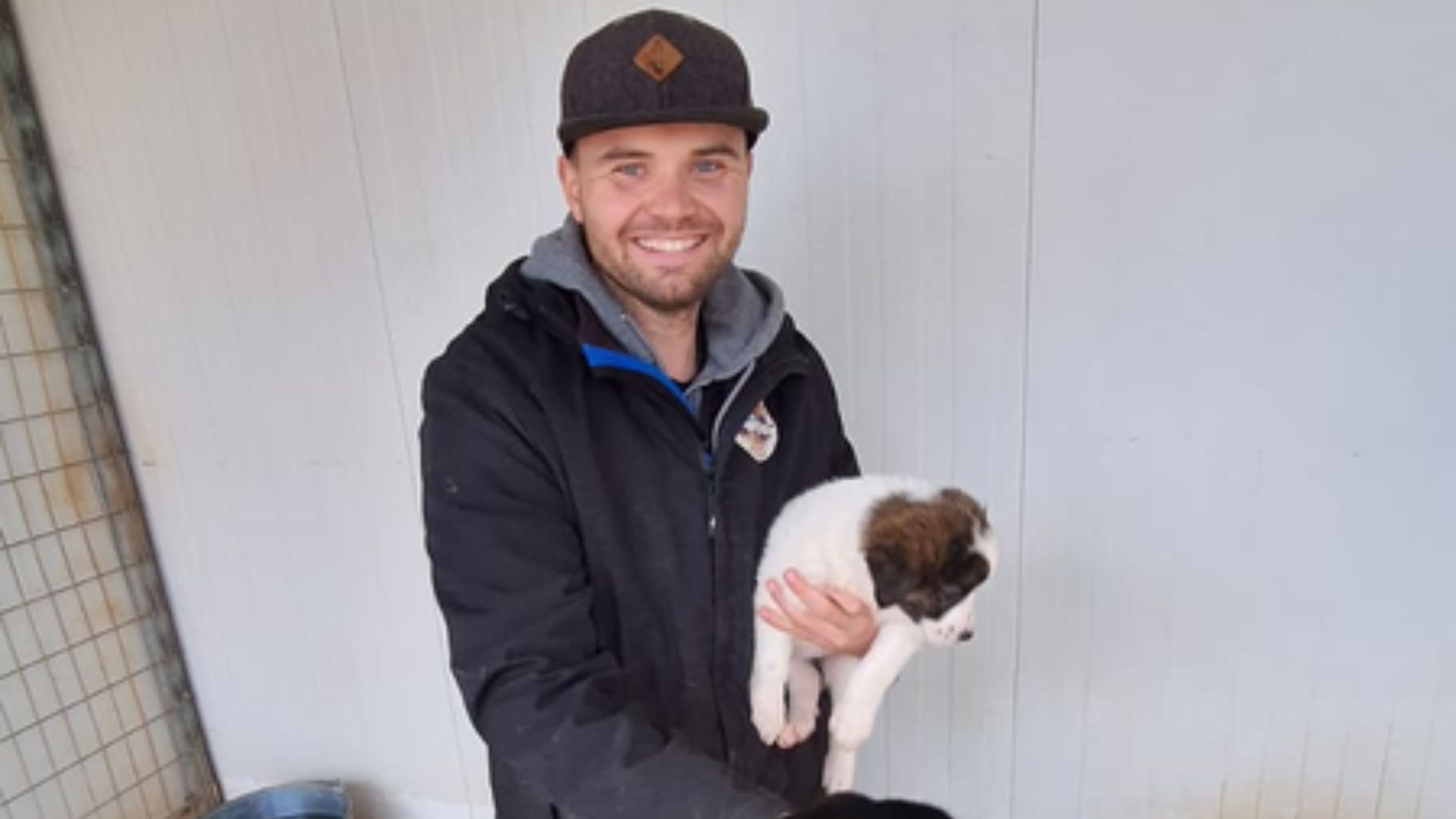 Chris unterstützt Hunde in einem europäischen Tierschutzprojekt. Hilfe für Straßenhunde, Tierheimarbeit und Engagement für den Tierschutz unterwegs im Vanlife.