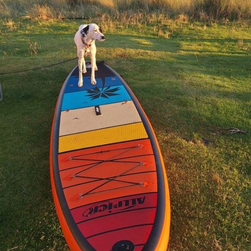 SUP am Camper Pepe – Stand-up-Paddling beim Vanlife und Reisen mit Hund in Europa