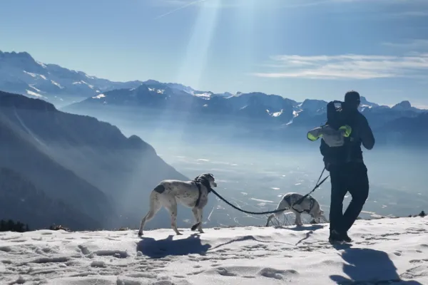 Vanlife mit Hund in Europa. Chris unterwegs mit Mia und Maya in den Bergen der Schweiz. Wandern mit Hund, Wintercamping, Outdoor-Abenteuer und Reisen im VW T5 Camper.