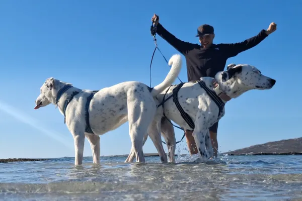 Mia und Maya auf einem Abenteuer in Europa. Vanlife mit Hund, Reisen durch Europa, Outdoor-Erlebnisse und echte Geschichten aus dem Leben im Camper.