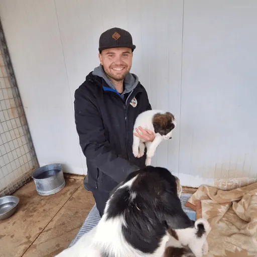 Chris unterstützt Hunde in einem europäischen Tierschutzprojekt. Hilfe für Straßenhunde, Tierheimarbeit und Engagement für den Tierschutz unterwegs im Vanlife.