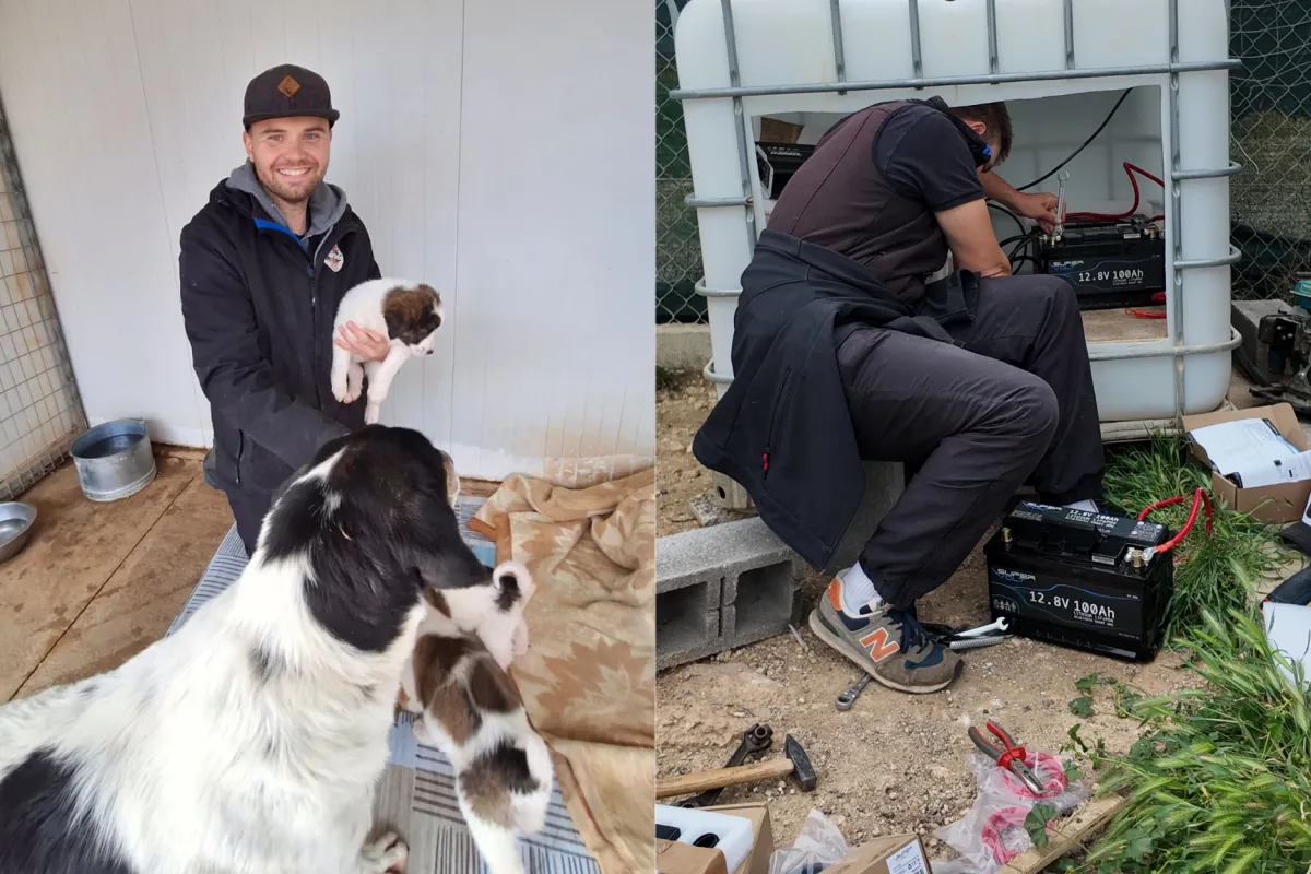 Gerettete Hunde in einem Tierschutzprojekt in Griechenland. Collage mit Tierheimhunden, Freilaufflächen, Hundeporträts und Sonnenaufgang. Einblick in den europäischen Tierschutz, die Versorgung von Straßenhunden, Tierheimarbeit und ehrenamtliches Engagement von adVANturetimewithus.