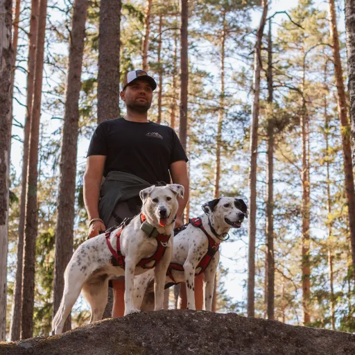 Vanlife mit Hund in Europa: Chris mit seinen Hunden Mia und Maya auf einer Wanderung im Wald. Reisen und Leben im VW T5 Camper Pepe, Freiheit, Abenteuer und Outdoor-Erlebnisse mit Hund.