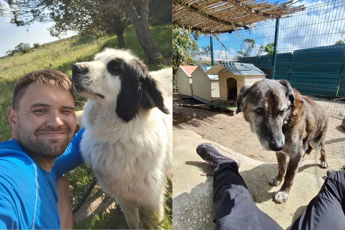 Chris im Tierheim Mayday Algarve in Portugal mit geretteten Hunden aus dem Tierschutz. Freiwilligenarbeit im Tierheim, Hundehilfe an der Algarve, Rescue Dogs Portugal und persönliche Begegnungen mit Shelter-Hunden während einer Tierschutzreise.