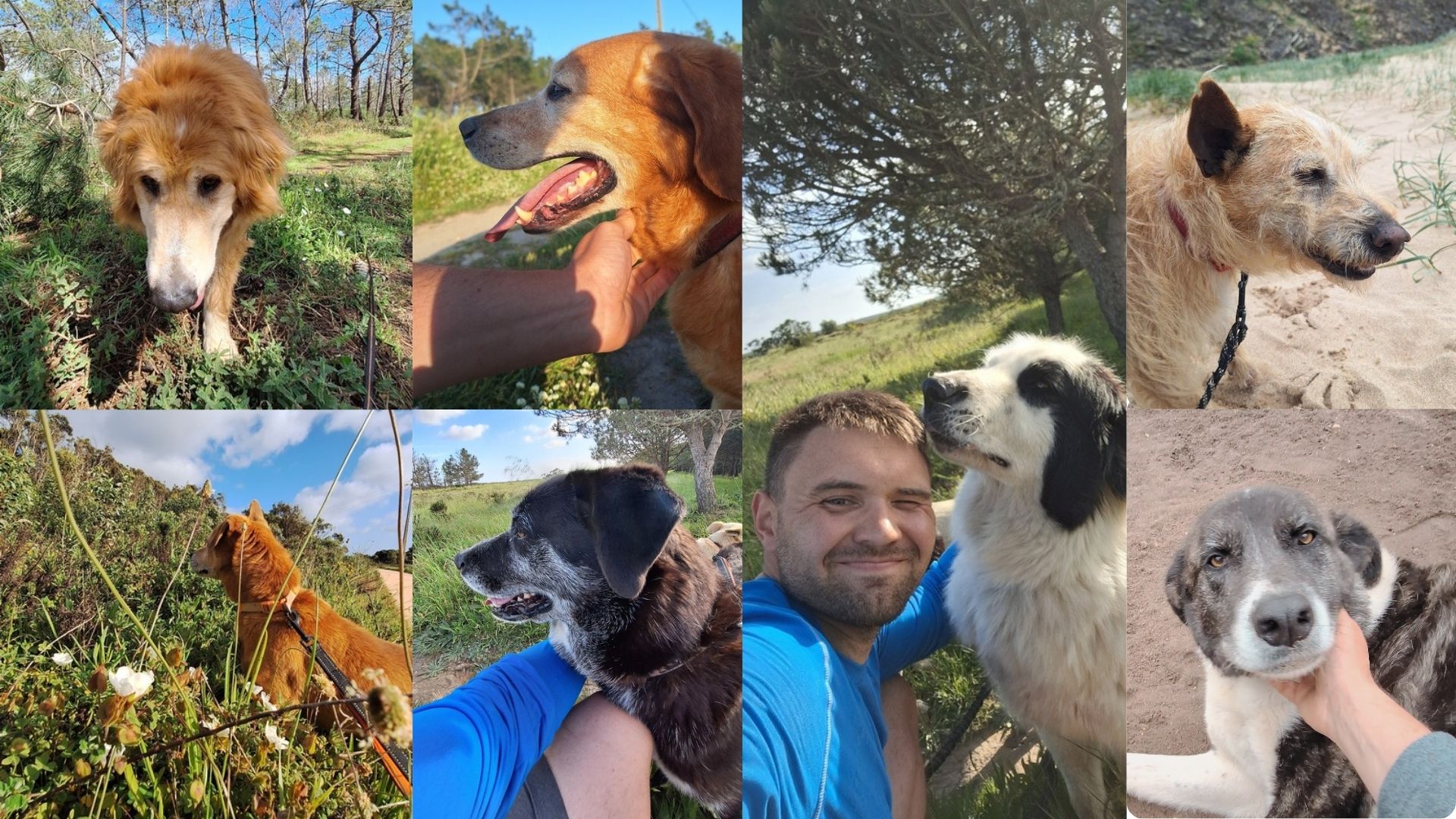 Mia und Maya auf einem Abenteuer in Europa. Vanlife mit Hund, Reisen durch Europa, Outdoor-Erlebnisse und echte Geschichten aus dem Leben im Camper.